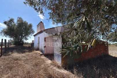 Quinta T1 para Venda em Pavia