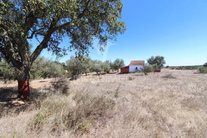 Quinta T1 para Venda em Pavia