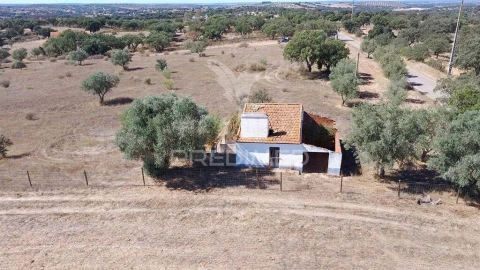 Quinta T1 para Venda em Pavia