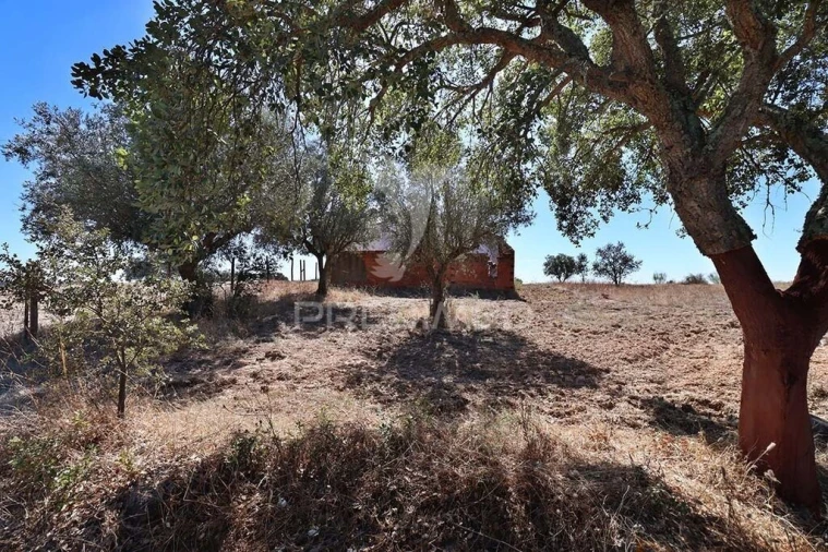 Quinta T1 para Venda em Pavia Foto 11