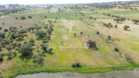 Terreno para Venda em Nossa Senhora da Conceição, São Brás dos Matos, Juromenha