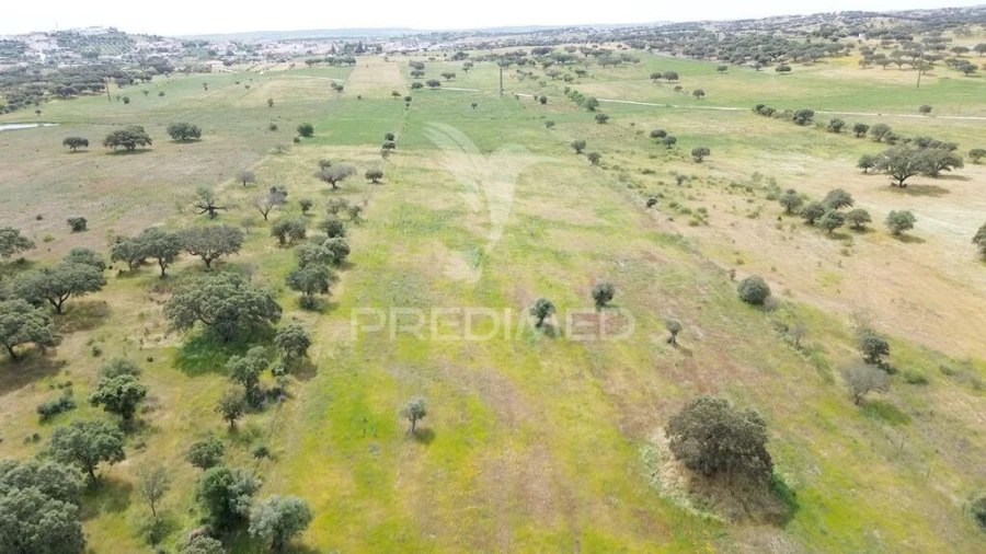 Terreno para Venda em Nossa Senhora da Conceição, São Brás dos Matos, Juromenha Foto 18