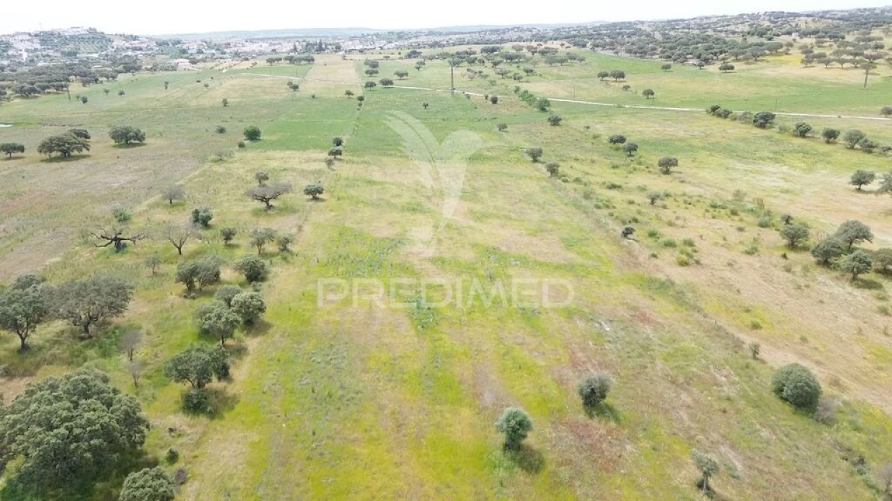 Terreno para Venda em Nossa Senhora da Conceição, São Brás dos Matos, Juromenha Foto 19