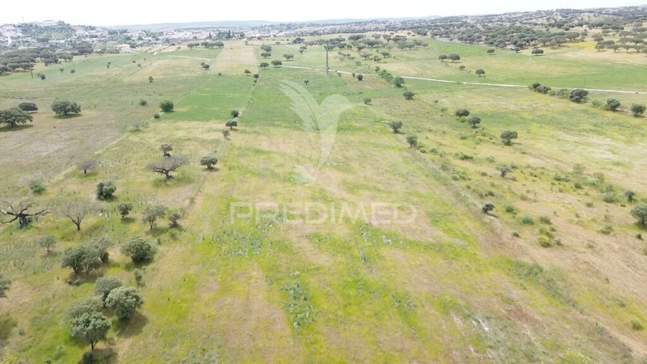 Terreno para Venda em Nossa Senhora da Conceição, São Brás dos Matos, Juromenha Foto 20