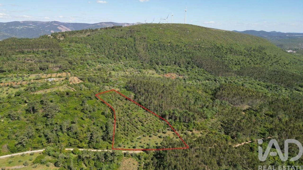 Terreno para Venda em Alvorge Foto 1