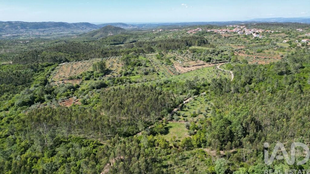 Terreno para Venda em Alvorge Foto 3