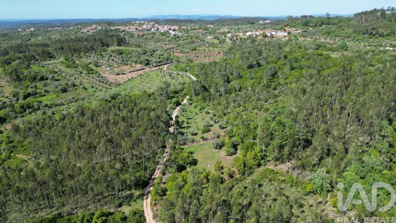 Terreno para Venda em Alvorge Foto 2