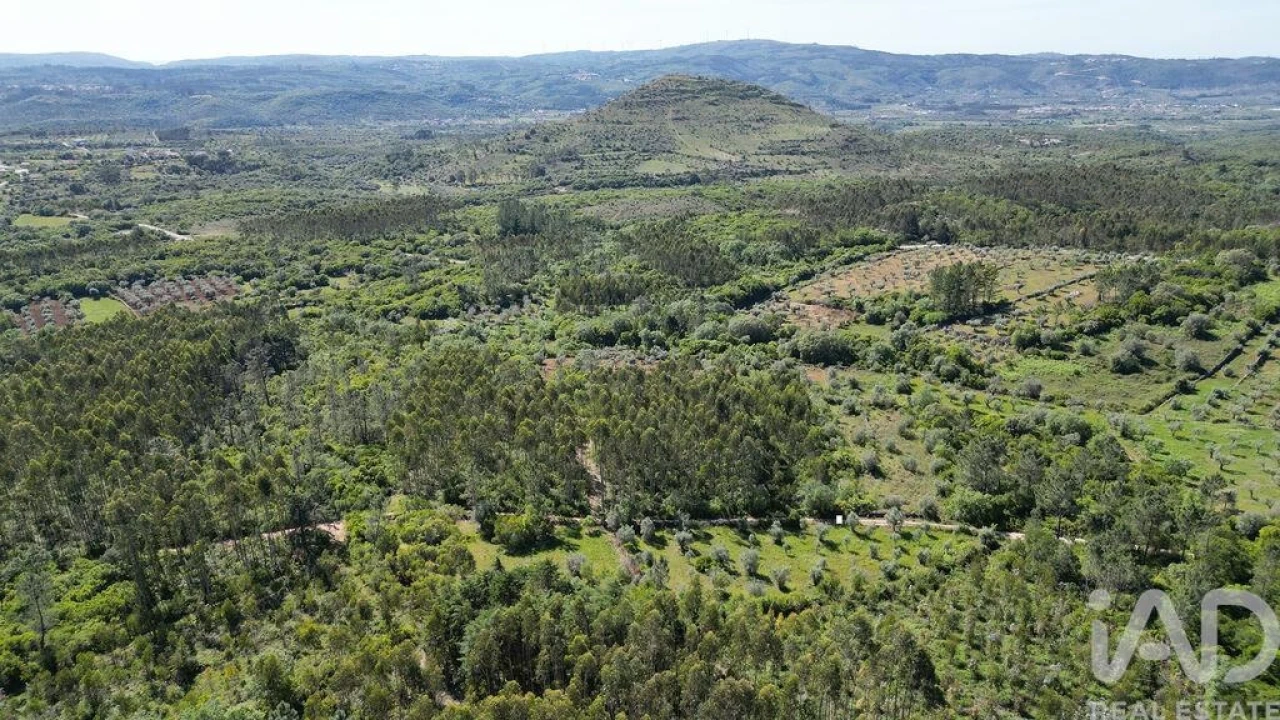 Terreno para Venda em Alvorge Foto 6