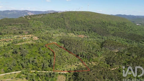 Terreno para Venda em Alvorge