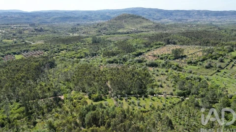 Terreno para Venda em Alvorge