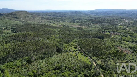 Terreno para Venda em Alvorge