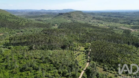 Terreno para Venda em Alvorge