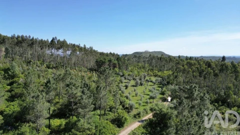 Terreno para Venda em Alvorge