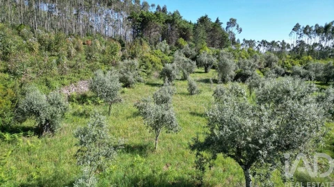 Terreno para Venda em Alvorge