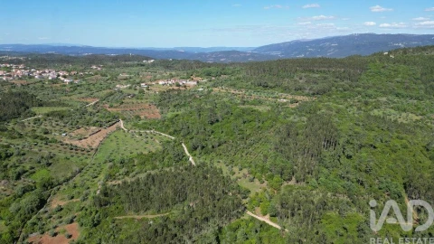 Terreno para Venda em Alvorge