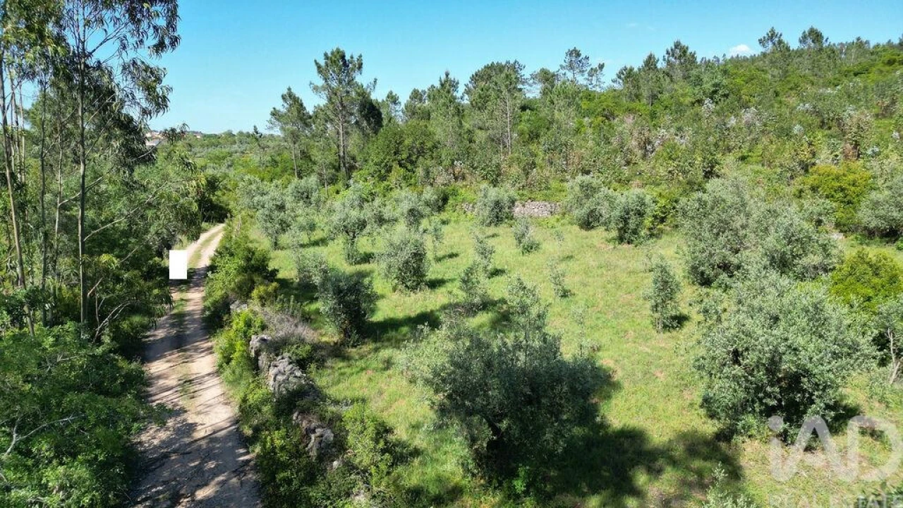 Terreno para Venda em Alvorge Foto 20