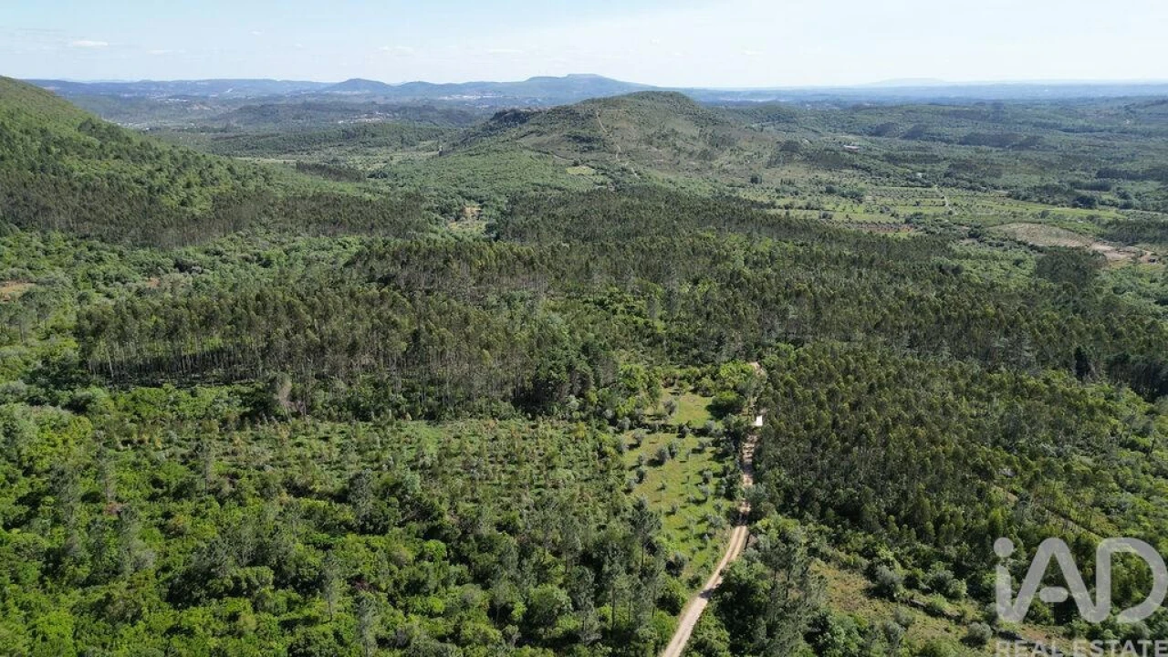 Terreno para Venda em Alvorge Foto 10
