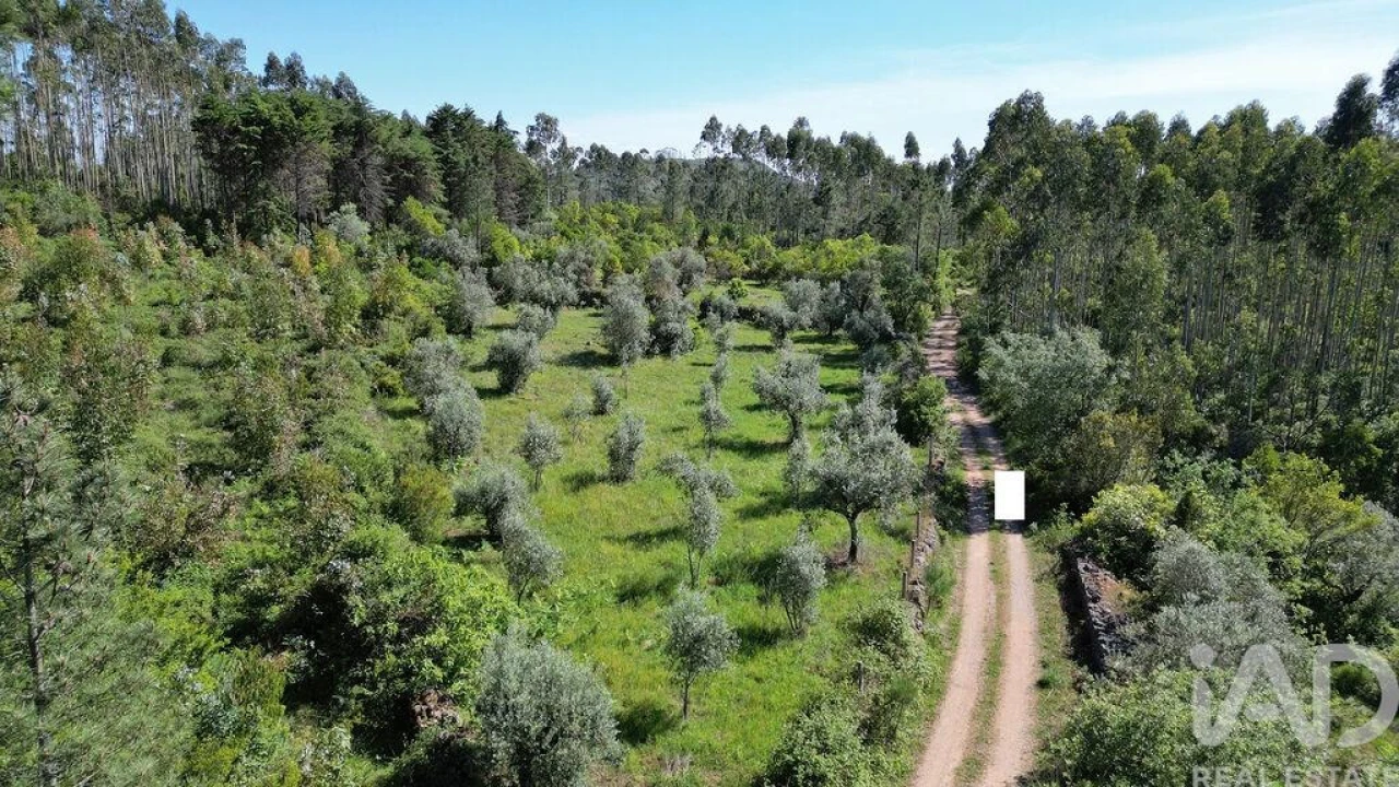 Terreno para Venda em Alvorge Foto 15