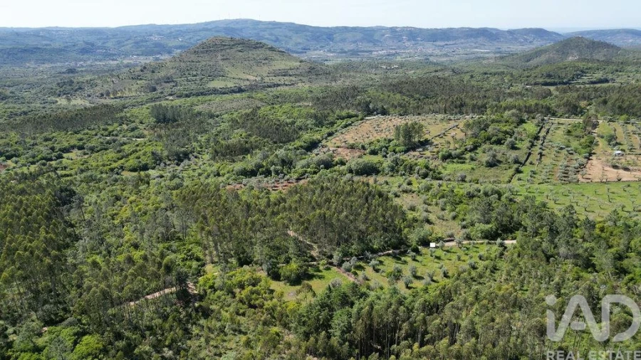 Terreno para Venda em Alvorge Foto 5