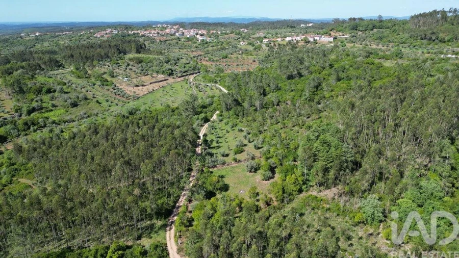 Terreno para Venda em Alvorge Foto 2