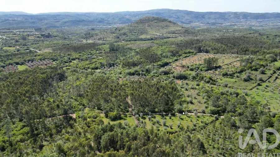 Terreno para Venda em Alvorge Foto 6