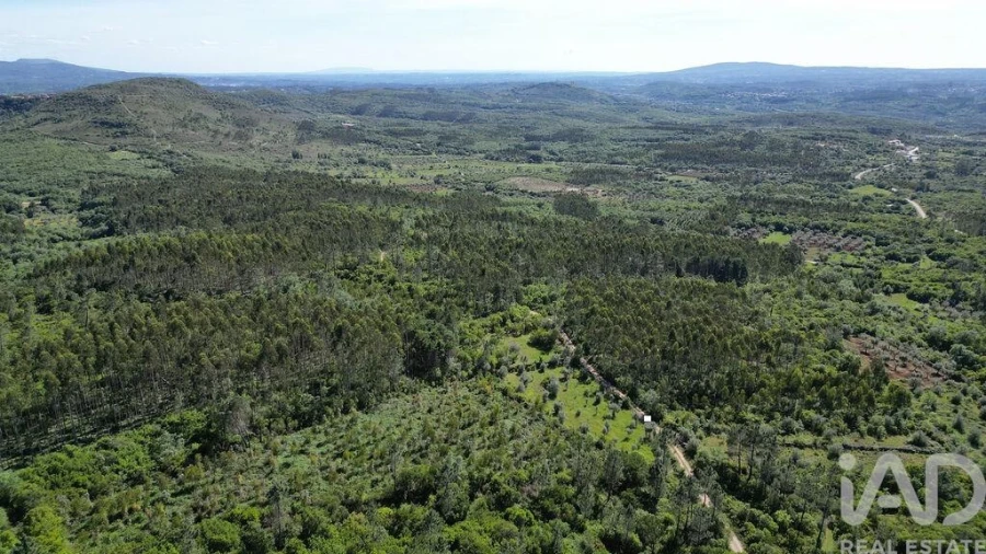 Terreno para Venda em Alvorge Foto 9