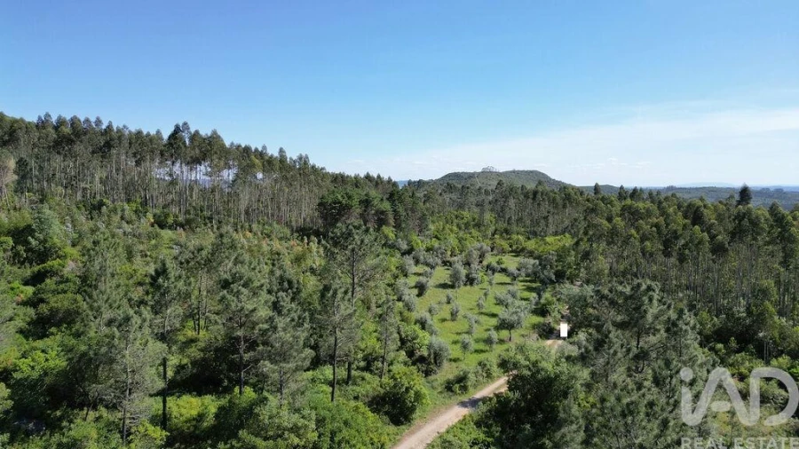 Terreno para Venda em Alvorge Foto 13