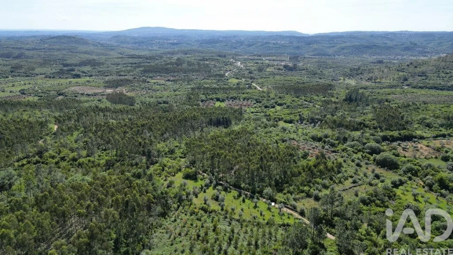 Terreno para Venda em Alvorge Foto 8