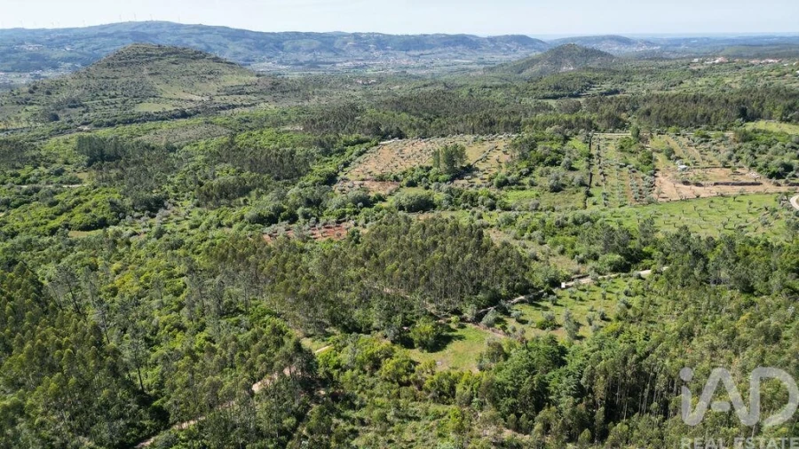 Terreno para Venda em Alvorge Foto 4