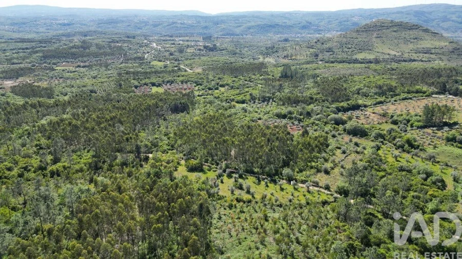 Terreno para Venda em Alvorge Foto 7