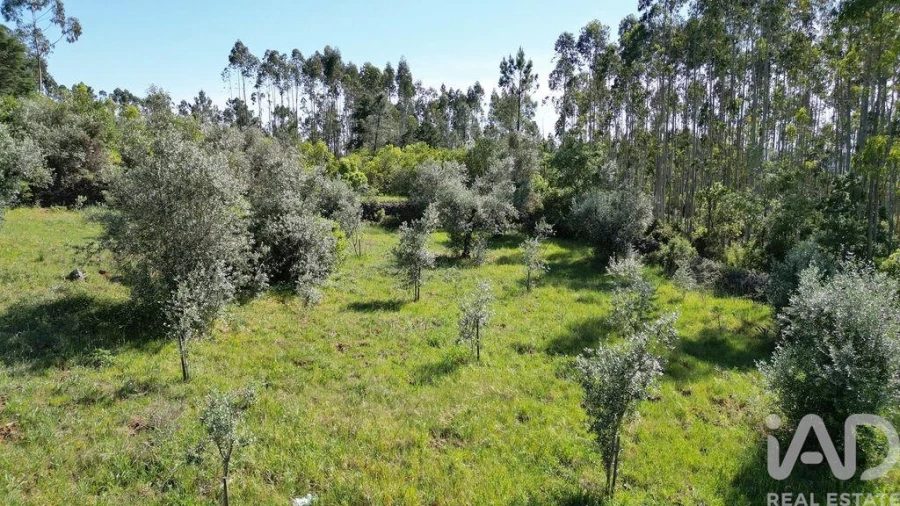 Terreno para Venda em Alvorge Foto 18