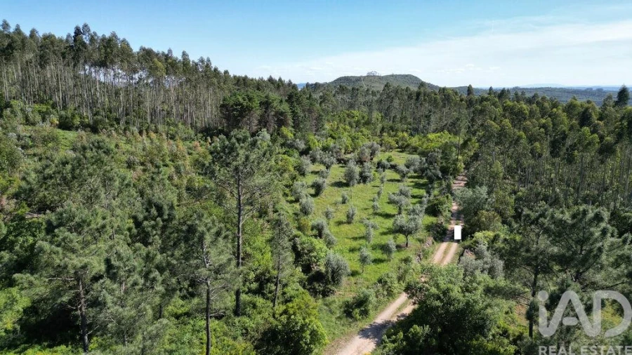 Terreno para Venda em Alvorge Foto 14