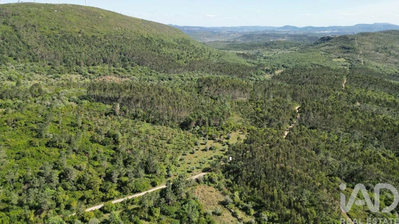 Terreno para Venda em Alvorge Foto 11