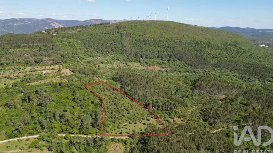 Terreno para Venda em Alvorge