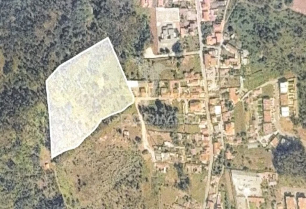 Terreno para Venda em Nogueira e Silva Escura Foto 11