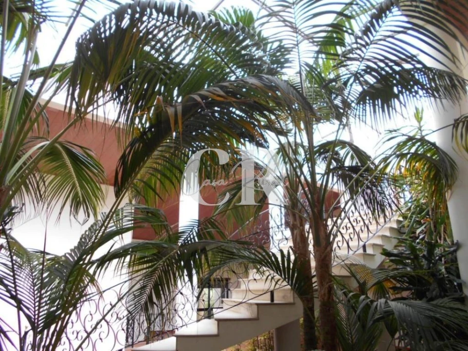 Moradia T4 para Venda em Meirinhas Foto 36