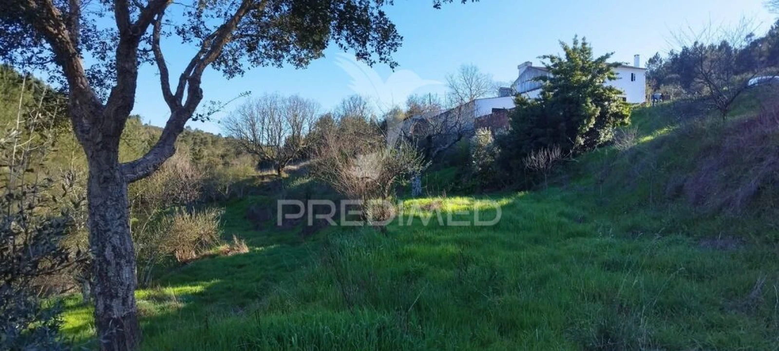 Quinta T4 para Venda em São Salvador da Aramenha Foto 9