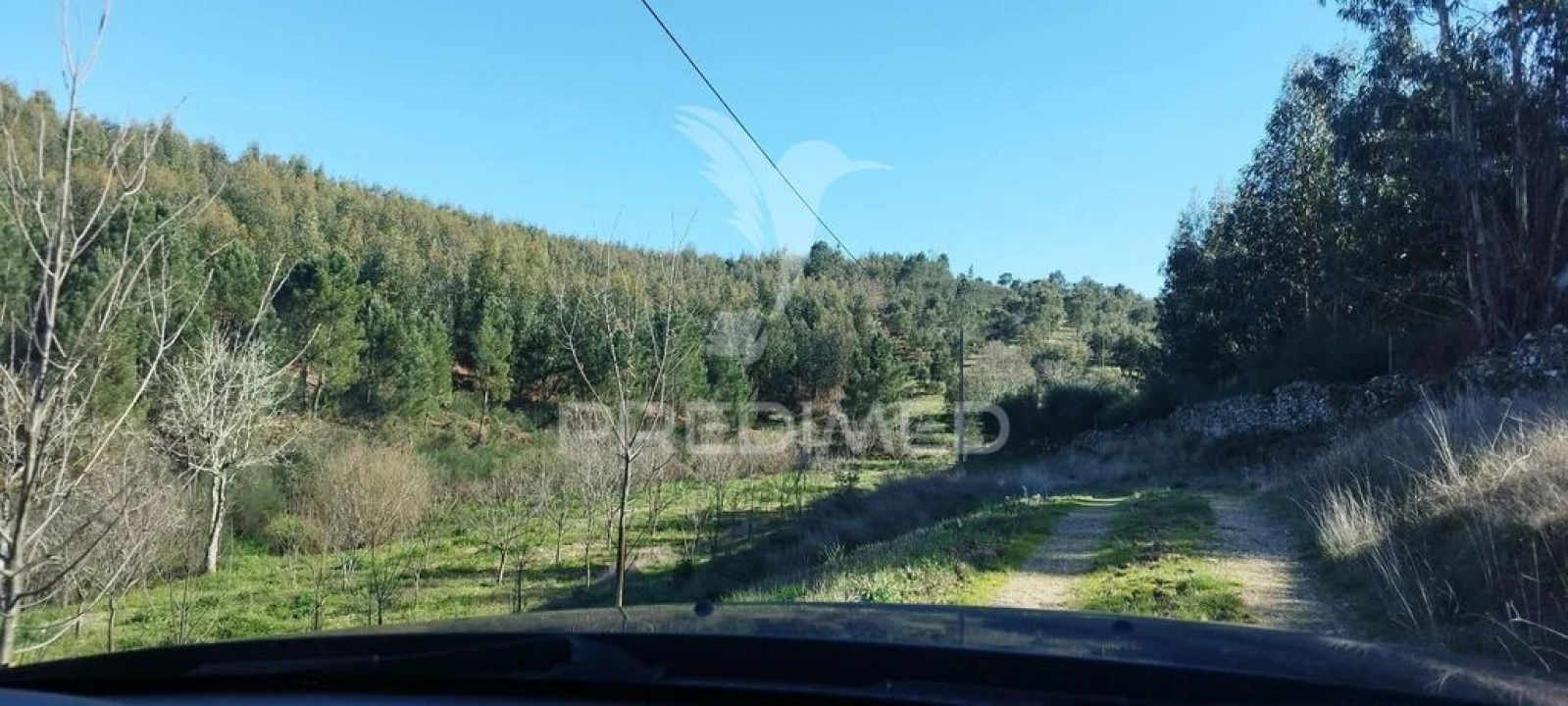 Quinta T4 para Venda em São Salvador da Aramenha Foto 16