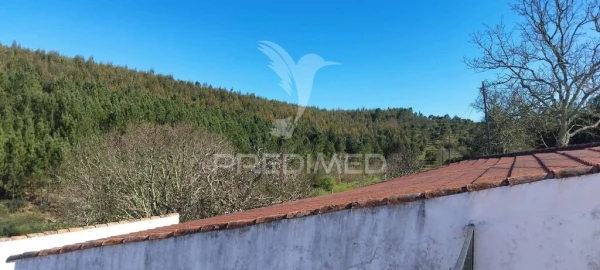 Quinta T4 para Venda em São Salvador da Aramenha