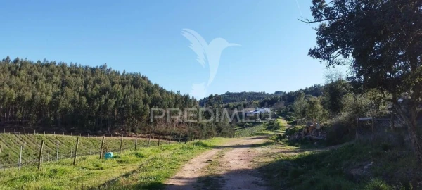 Quinta T4 para Venda em São Salvador da Aramenha