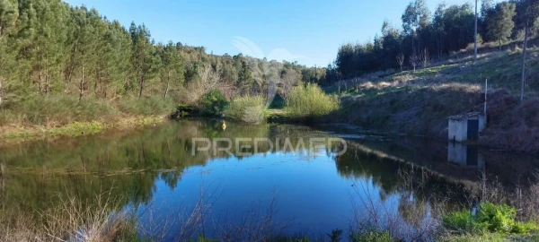 Quinta T4 para Venda em São Salvador da Aramenha