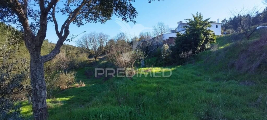 Quinta T4 para Venda em São Salvador da Aramenha Foto 9