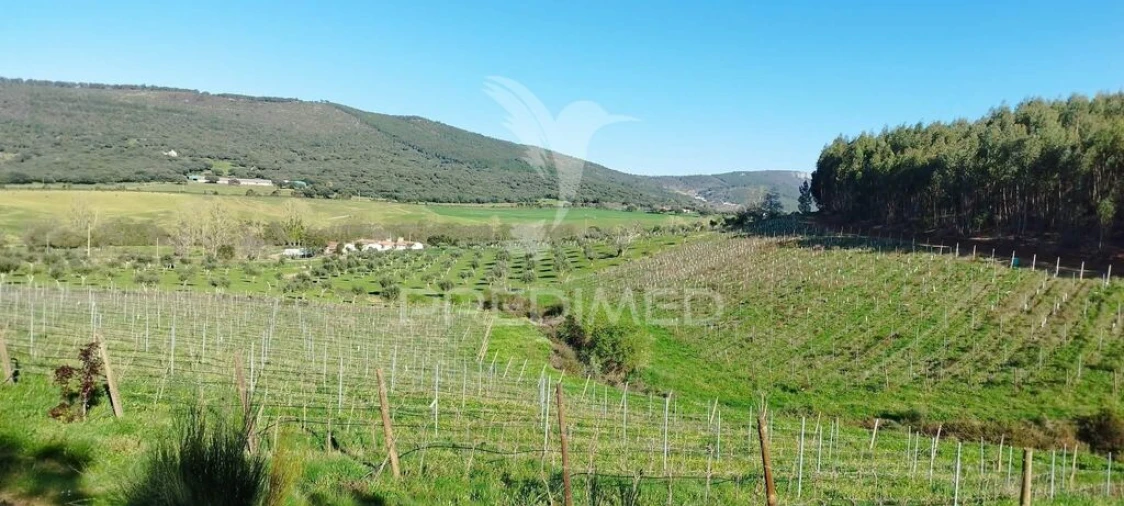 Quinta T4 para Venda em São Salvador da Aramenha Foto 11