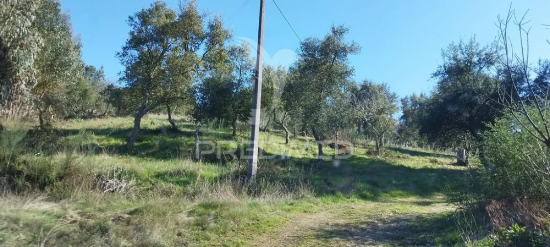 Quinta T4 para Venda em São Salvador da Aramenha Foto 17
