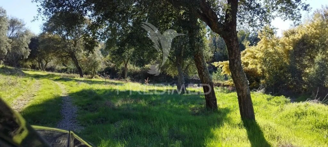 Quinta T4 para Venda em São Salvador da Aramenha Foto 2