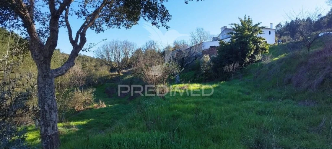 Quinta T4 para Venda em São Salvador da Aramenha Foto 7