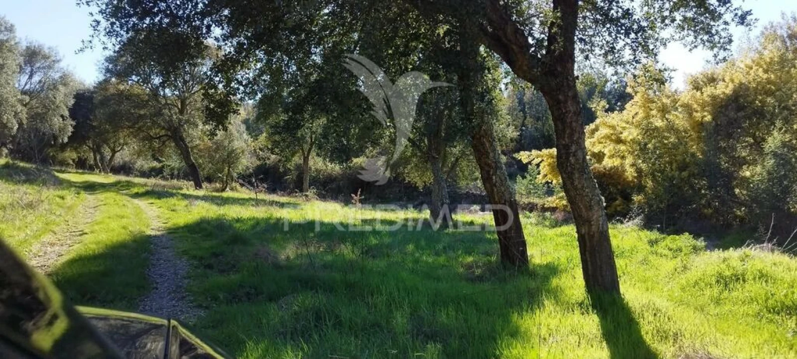 Quinta T4 para Venda em São Salvador da Aramenha Foto 2