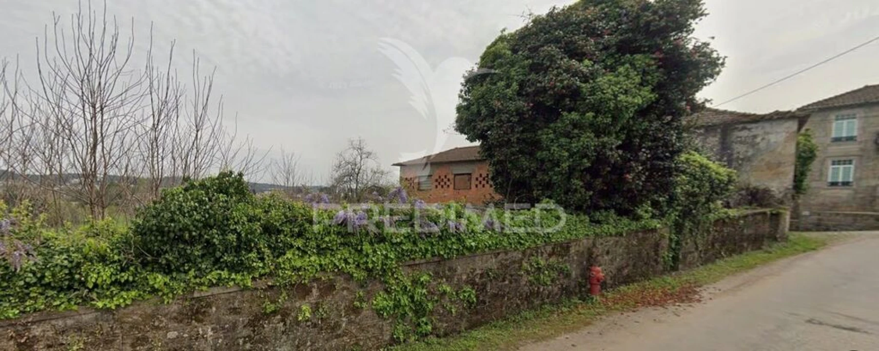 Quinta T5 para Venda em Coronado (São Romão e São Mamede) Foto 6