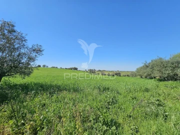 Terreno para Venda em Entradas