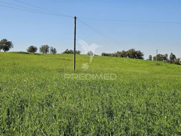 Terreno para Venda em Entradas